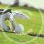 The Secret to Mastering Your Short Game