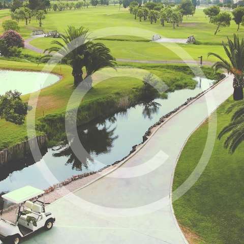 Greg Norman Talks COBRA Tech: Then and Now